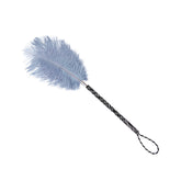 Soft Bloom Feather Teaser – Sky Grey